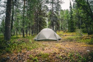 tent in woods